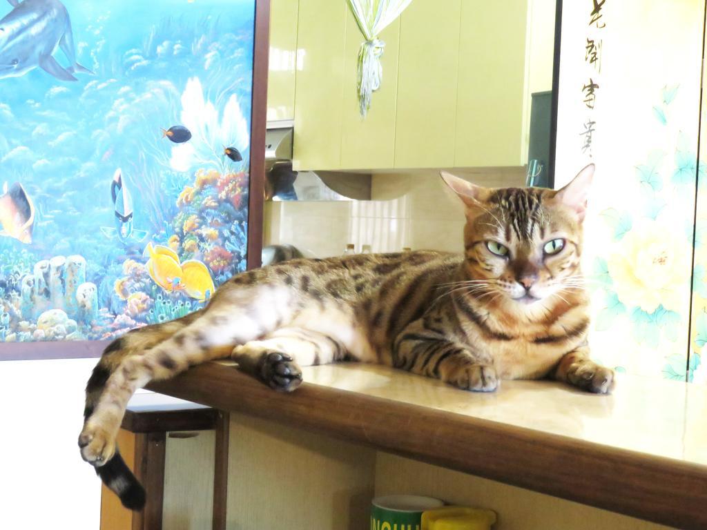 Tou Cheng Whale Watching Homestay Toucseng Kültér fotó